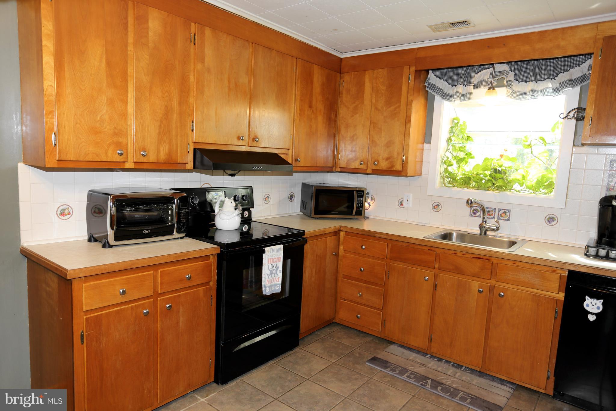22296 Breasure Road Georgetown, DE 19947 - Photo 8 of 47 Kitchen