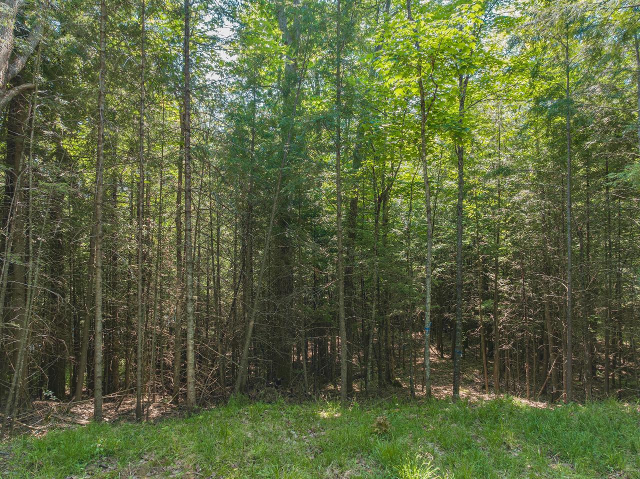 Lot 4 Rock Lake Road Presque Isle, WI 54557 - Photo 11 of 14 Gallery Image 11
