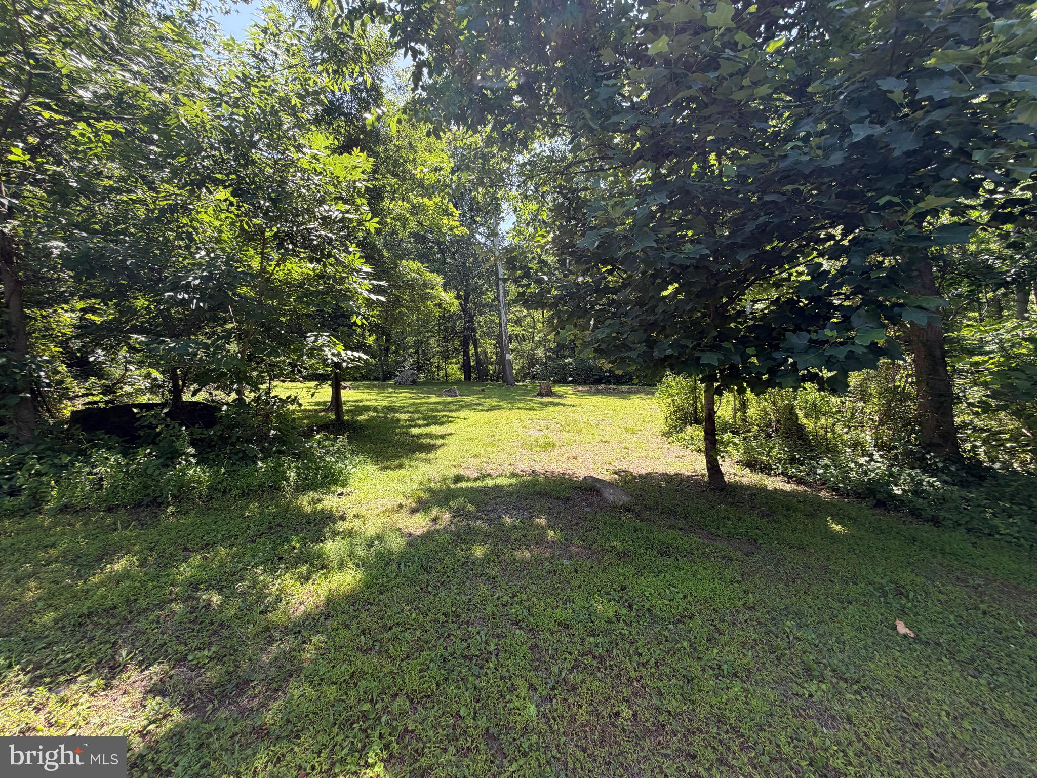0 Westernport Road Southwest Westernport, MD 21562 - Photo 13 of 41