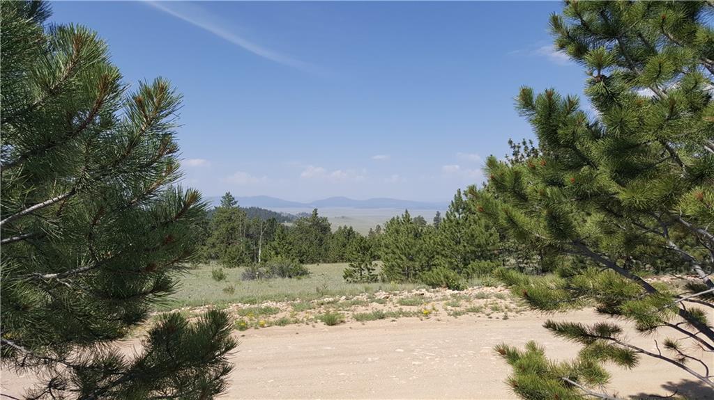 Lot 5879 Running Bear Road Hartsel, CO 80449 - Photo 11 of 34 a view of a road with a trees in the background