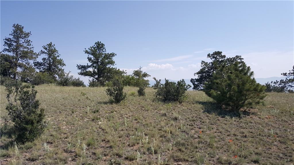 Lot 5879 Running Bear Road Hartsel, CO 80449 - Photo 12 of 34 a view of a dry yard with trees in the background