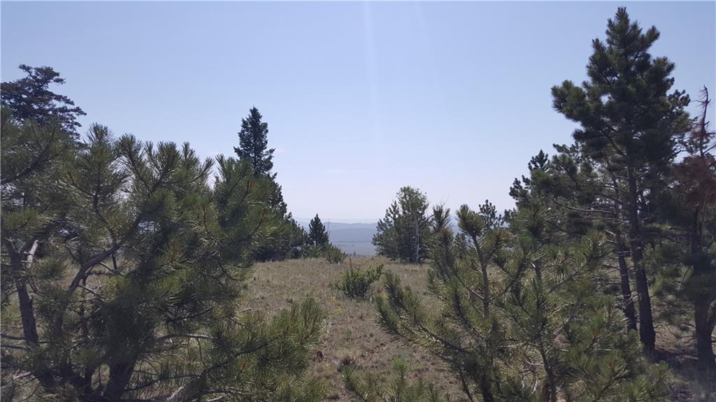 Lot 5879 Running Bear Road Hartsel, CO 80449 - Photo 13 of 34 a view of a city with lush green forest