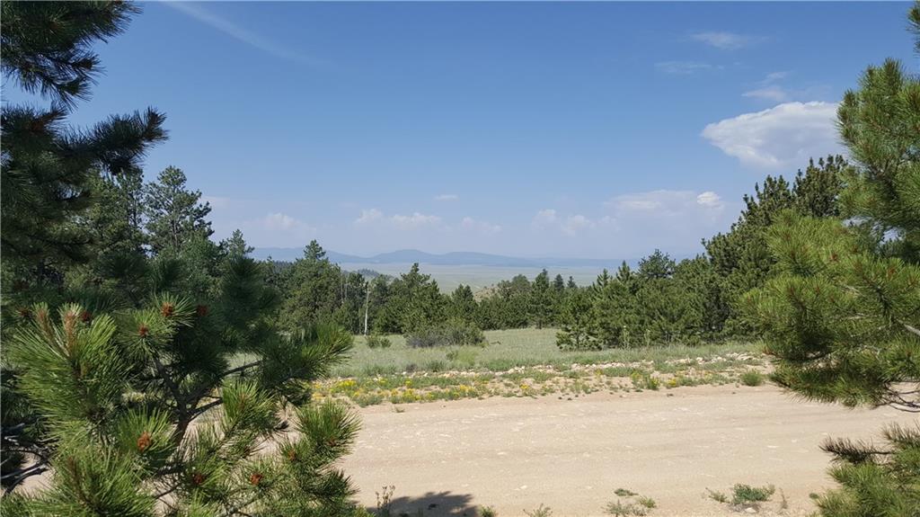 Lot 5879 Running Bear Road Hartsel, CO 80449 - Photo 14 of 34 a view of a yard with a tree