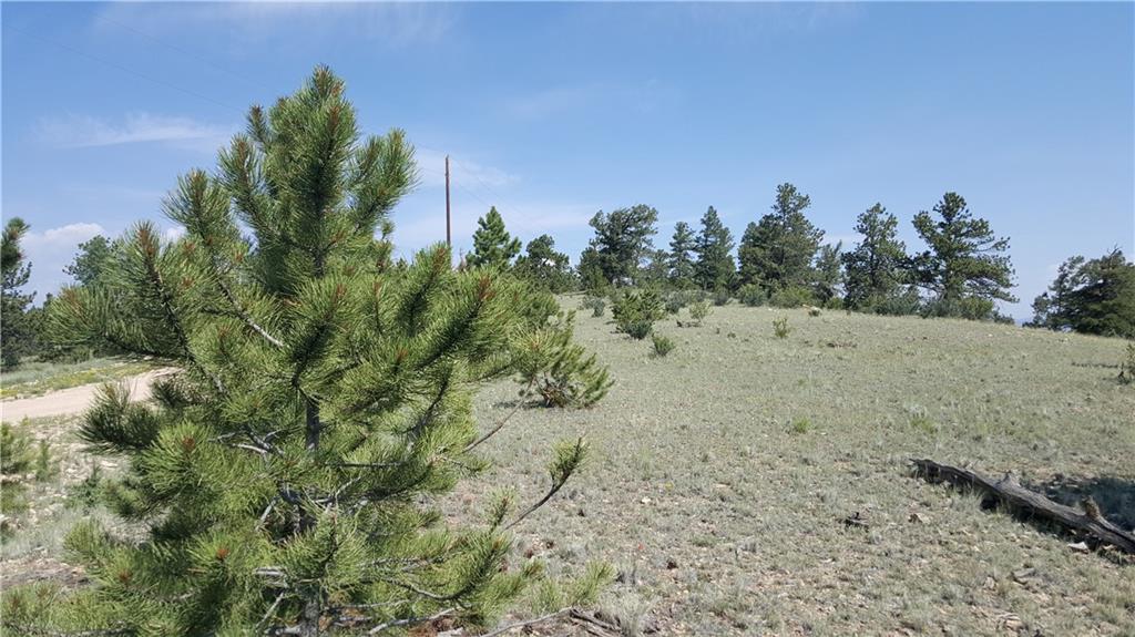 Lot 5879 Running Bear Road Hartsel, CO 80449 - Photo 15 of 34 a view of a dry yard with trees