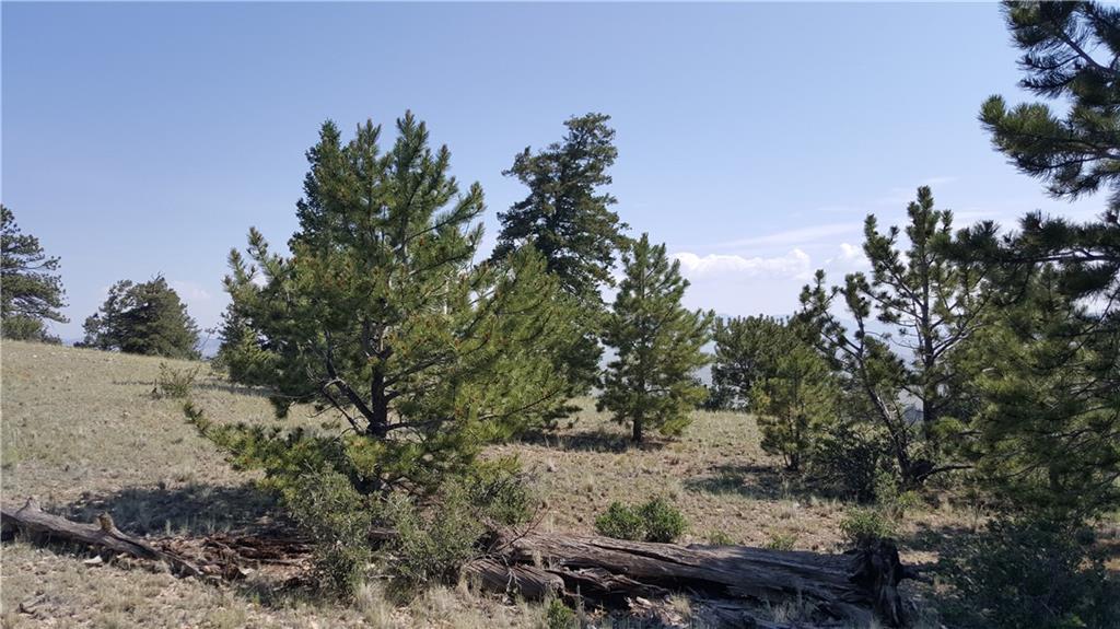 Lot 5879 Running Bear Road Hartsel, CO 80449 - Photo 16 of 34 a view of a backyard of the house