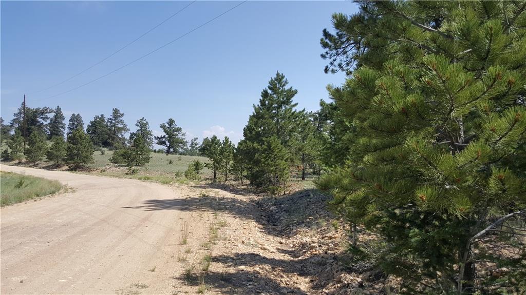 Lot 5879 Running Bear Road Hartsel, CO 80449 - Photo 17 of 34 a view of a yard with large trees