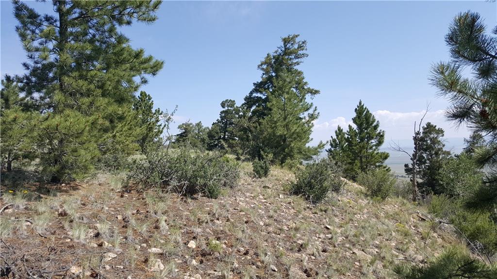 Lot 5879 Running Bear Road Hartsel, CO 80449 - Photo 23 of 34 a view of a forest with trees in the background