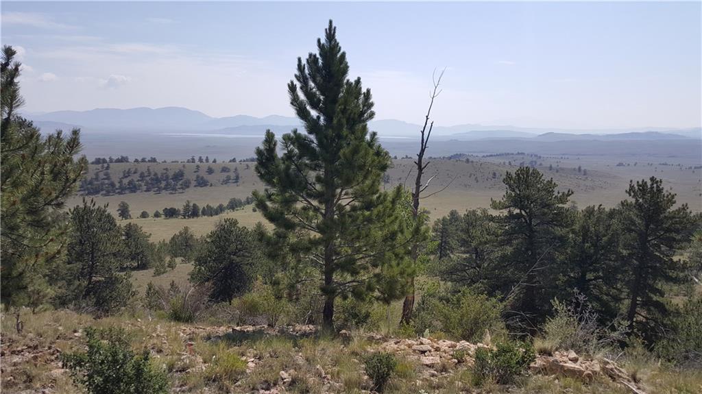 Lot 5879 Running Bear Road Hartsel, CO 80449 - Photo 25 of 34 a view of a city