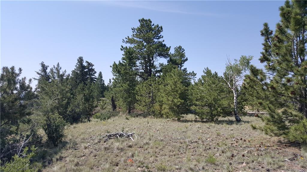 Lot 5879 Running Bear Road Hartsel, CO 80449 - Photo 26 of 34 a view of a dry yard with trees in the background