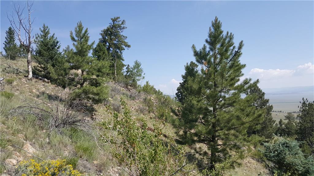 Lot 5879 Running Bear Road Hartsel, CO 80449 - Photo 28 of 34 a view of a plants in front of a house