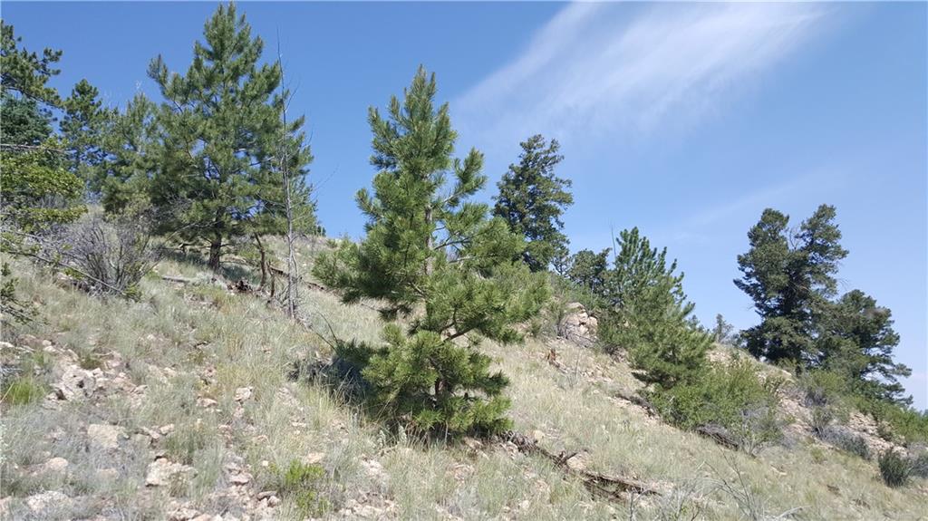 Lot 5879 Running Bear Road Hartsel, CO 80449 - Photo 29 of 34