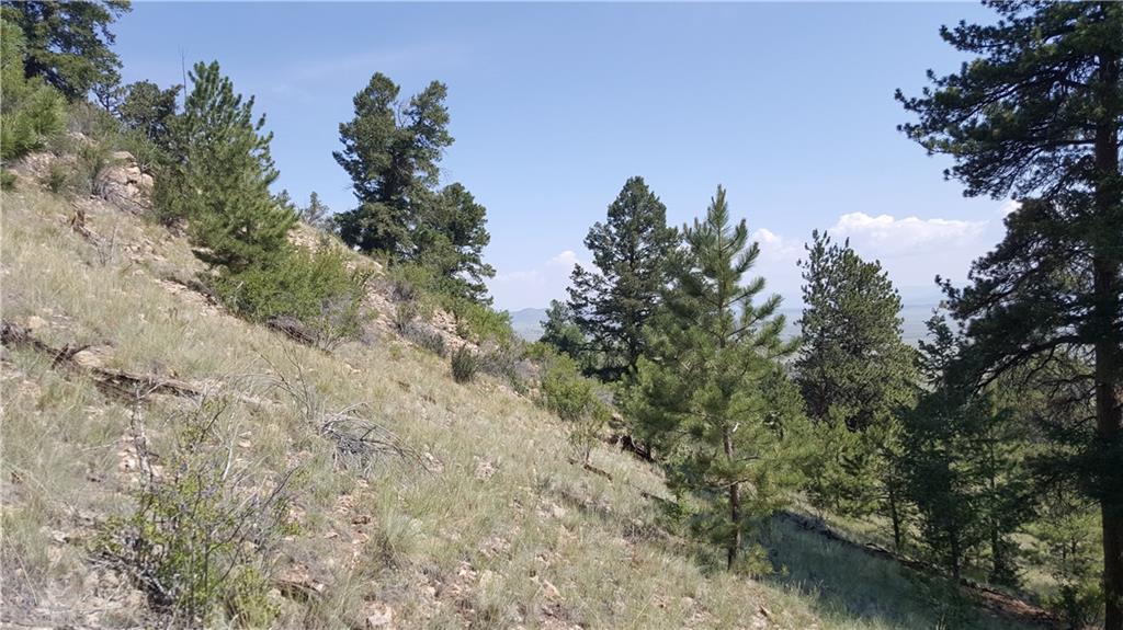 Lot 5879 Running Bear Road Hartsel, CO 80449 - Photo 30 of 34 a view of a city with lush green forest