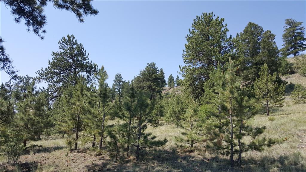 Lot 5879 Running Bear Road Hartsel, CO 80449 - Photo 31 of 34 a view of a city with lush green forest