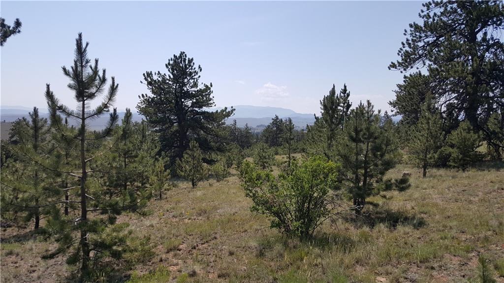 Lot 5879 Running Bear Road Hartsel, CO 80449 - Photo 32 of 34 a view of a yard with a tree