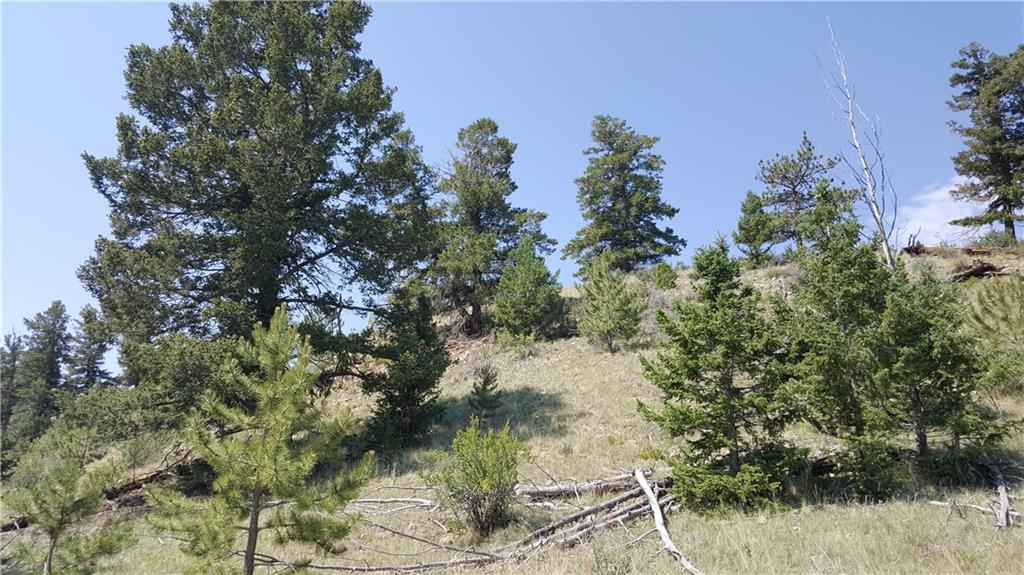 Lot 5879 Running Bear Road Hartsel, CO 80449 - Photo 33 of 34 a view of a tree in a yard