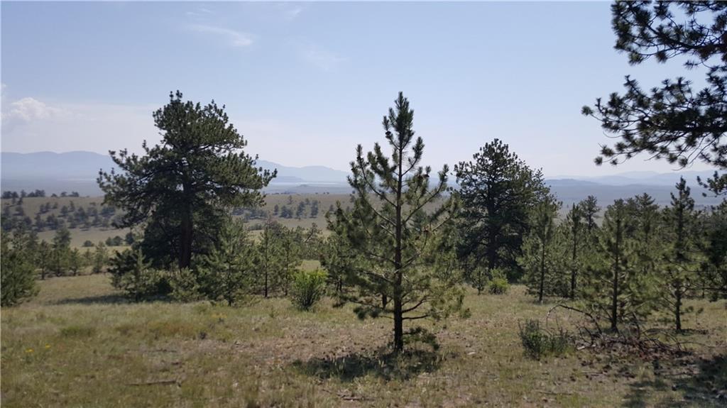 Lot 5879 Running Bear Road Hartsel, CO 80449 - Photo 34 of 34 a view of a dry yard with trees in the background