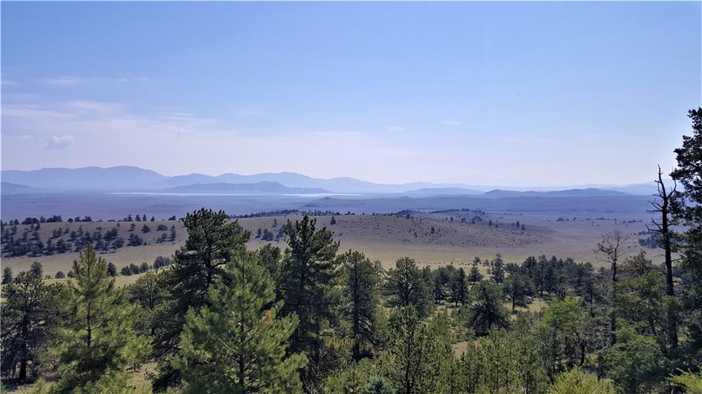 Lot 5879 Running Bear Road Hartsel, CO 80449 - Photo 5 of 34 an aerial view of residential house and green space