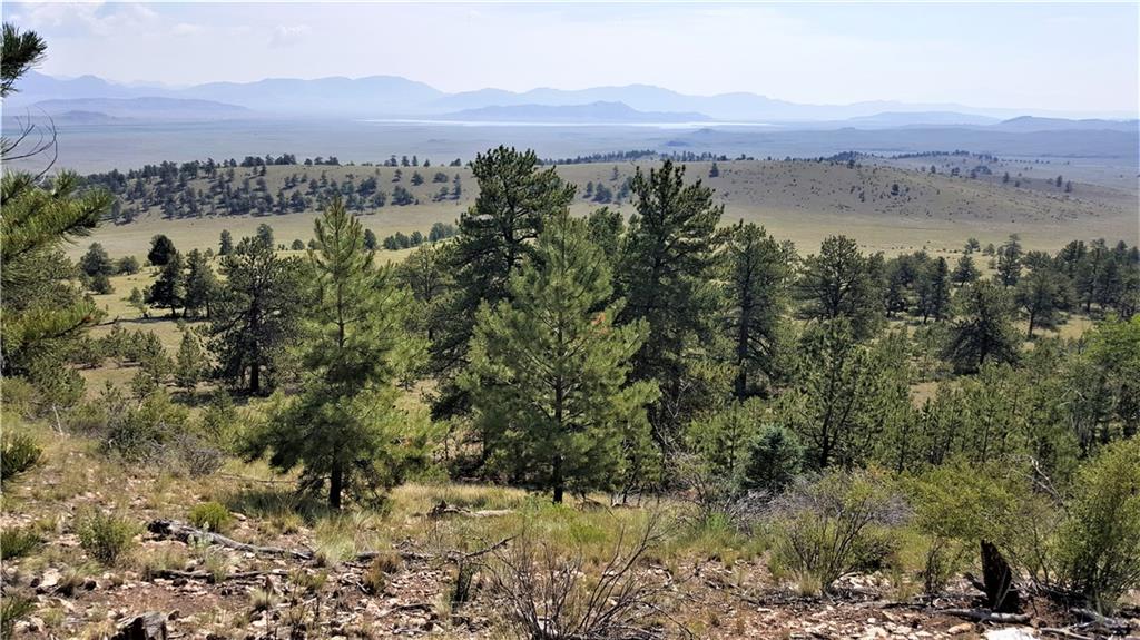 Lot 5879 Running Bear Road Hartsel, CO 80449 - Photo 6 of 34 an aerial view of mountain with trees in the background