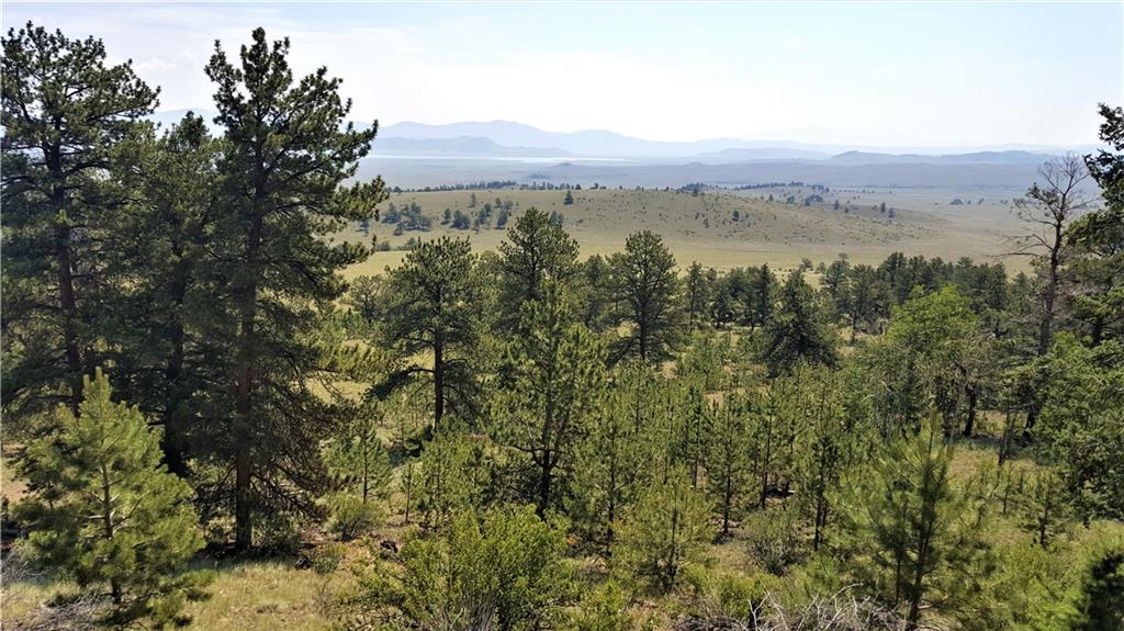 Lot 5879 Running Bear Road Hartsel, CO 80449 - Photo 8 of 34 a view of city and mountain