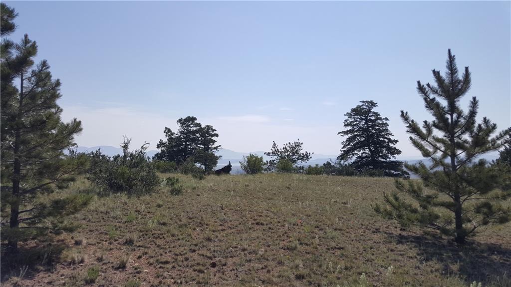Lot 5879 Running Bear Road Hartsel, CO 80449 - Photo 10 of 34 a view of a dry yard with trees in the background