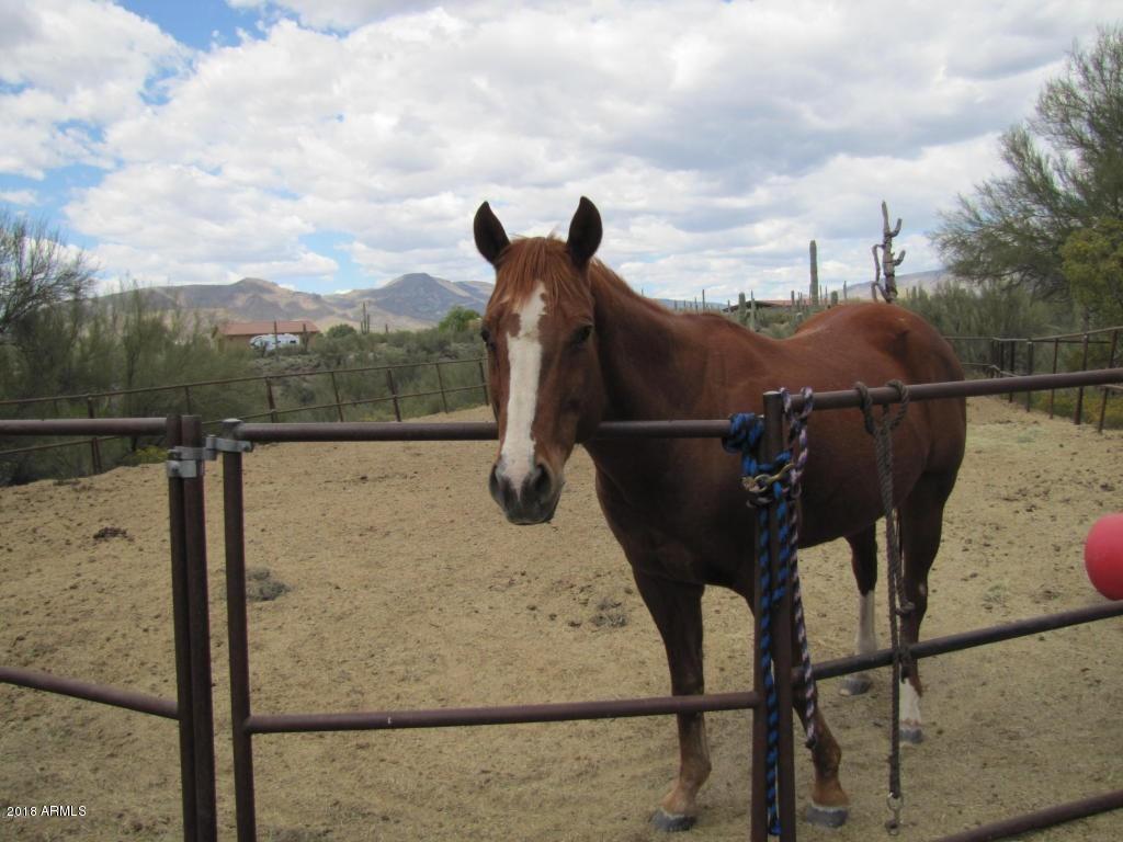 5724 East Saguaro Road Cave Creek, AZ 85331 - Photo 38 of 45 Horse Property