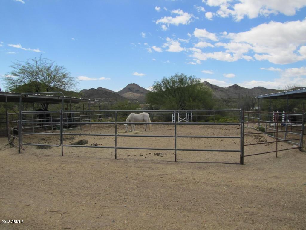 5724 East Saguaro Road Cave Creek, AZ 85331 - Photo 41 of 45 Arena