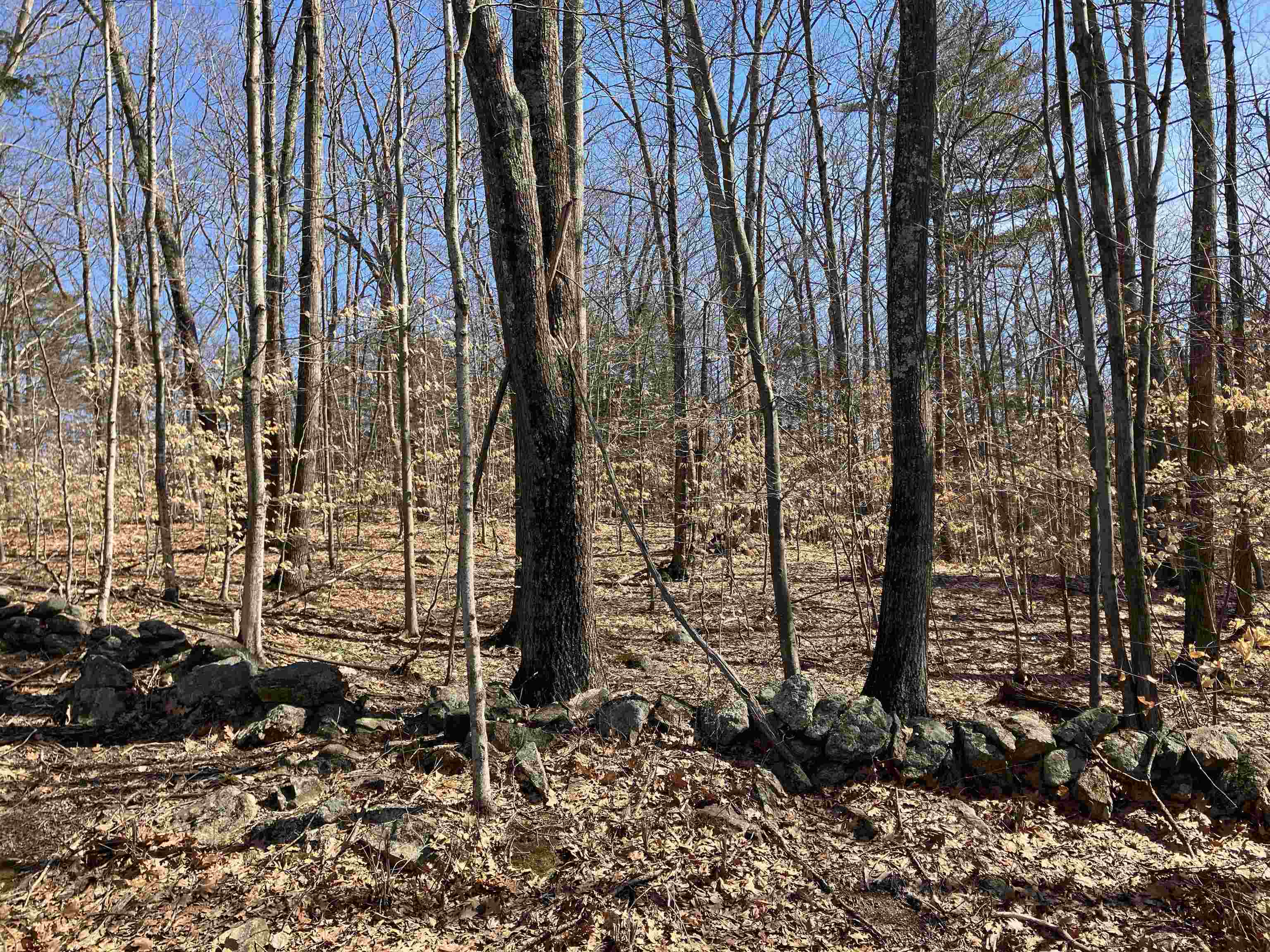 0 Shaker Road, Unit 212/009 Canterbury, NH 03224 - Photo 1 of 8