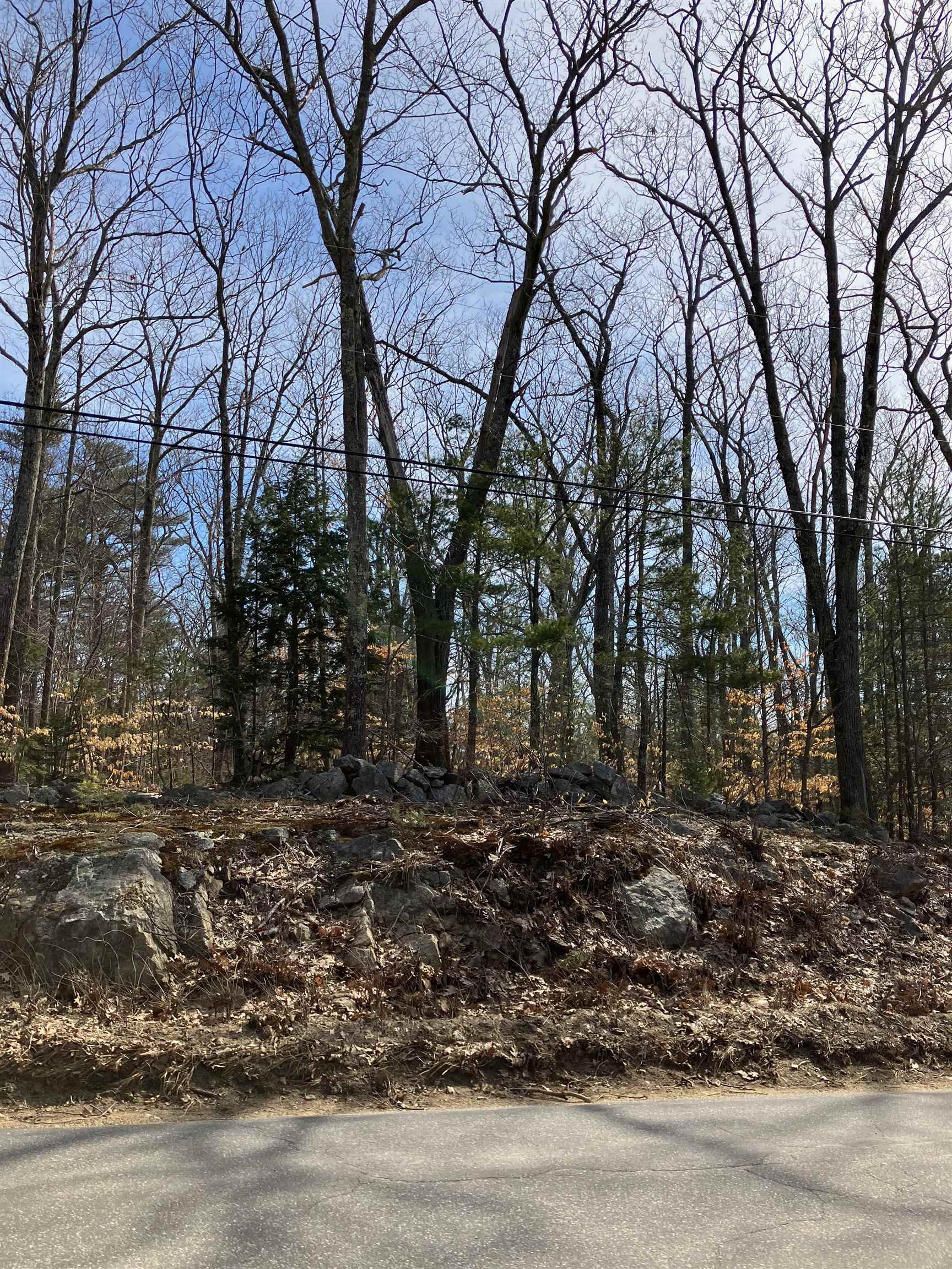 0 Shaker Road, Unit 212/009 Canterbury, NH 03224 - Photo 3 of 8