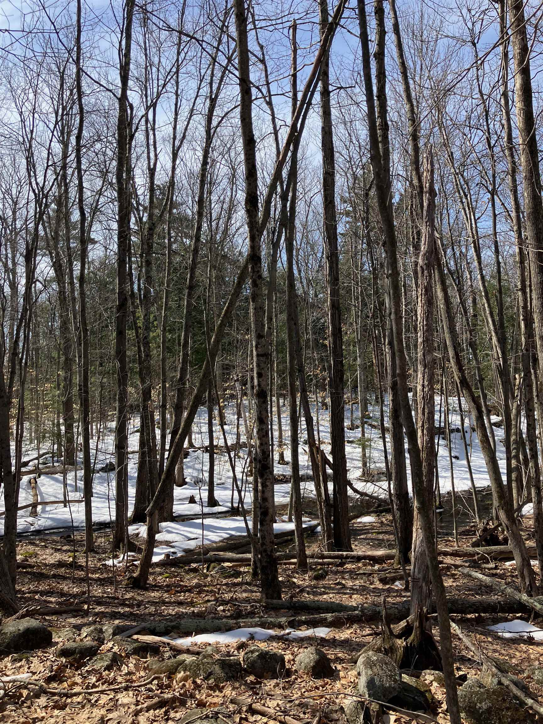0 Shaker Road, Unit 212/009 Canterbury, NH 03224 - Photo 5 of 8
