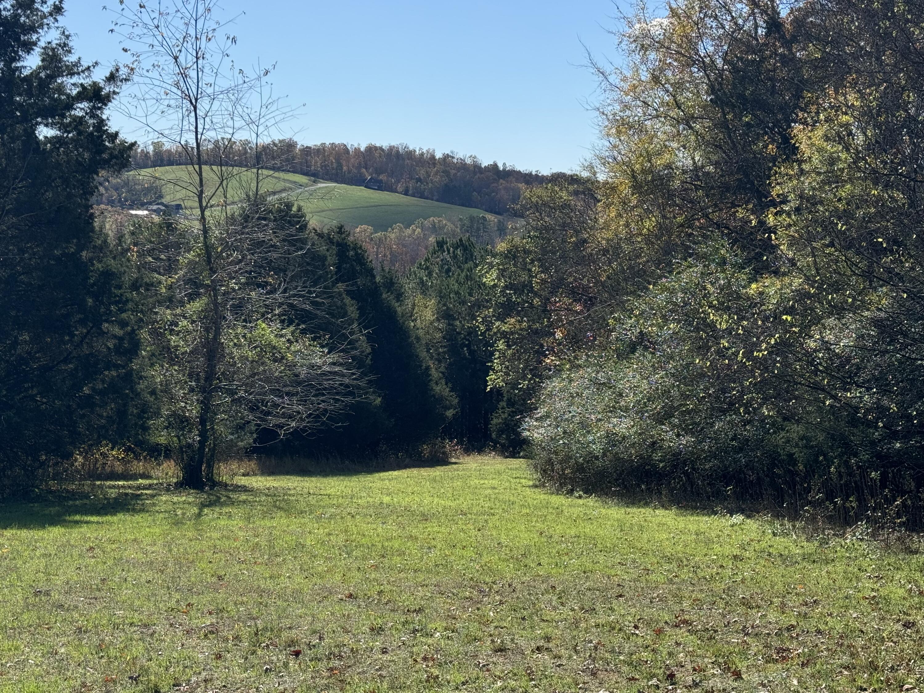 Lot 29 Goodfield Terrace Decatur, TN 37322 - Photo 1 of 9 IMG_5887