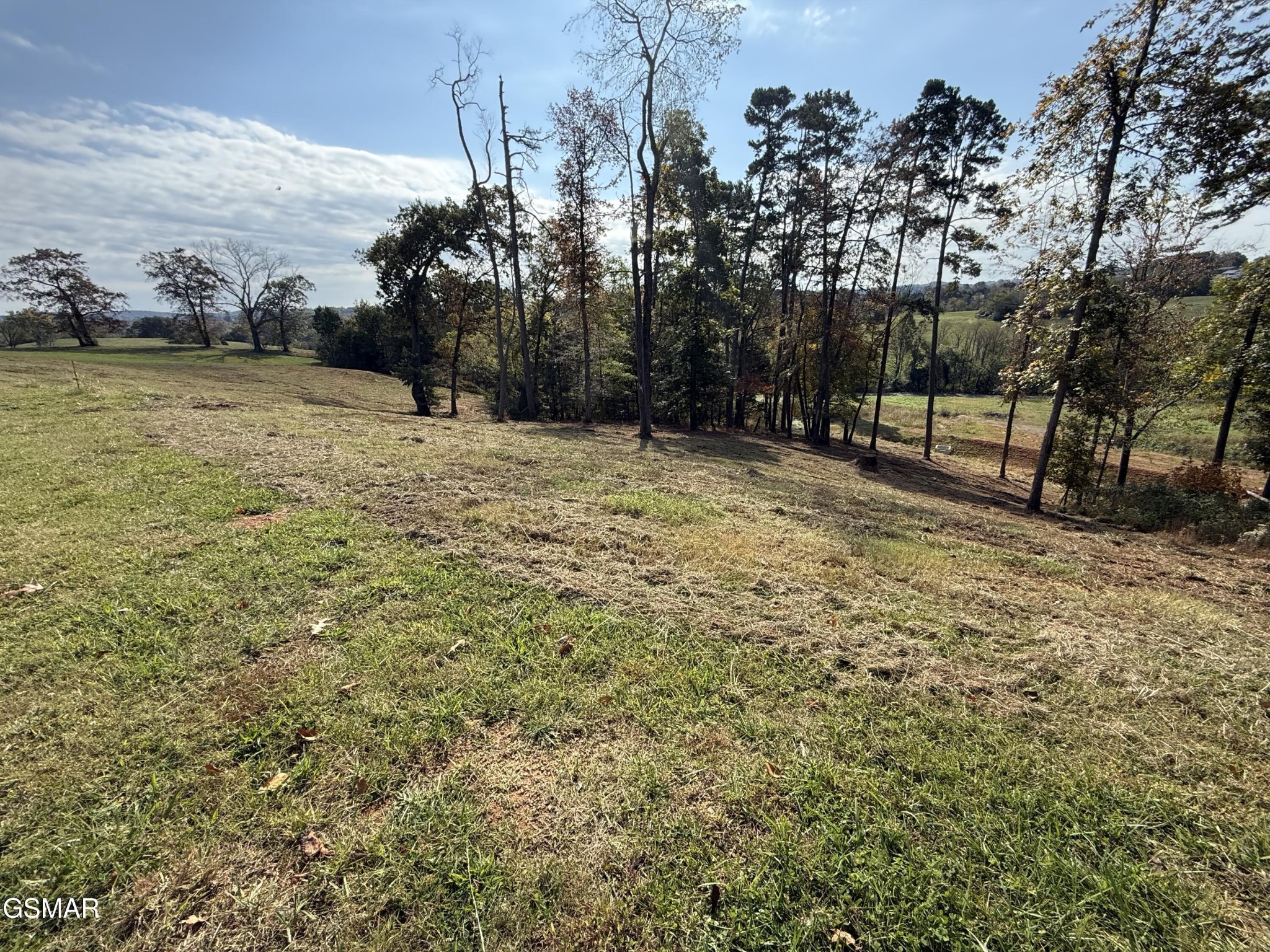 289 Inlet Cove Morristown, TN 37814 - Photo 7 of 15 Gallery Image 7