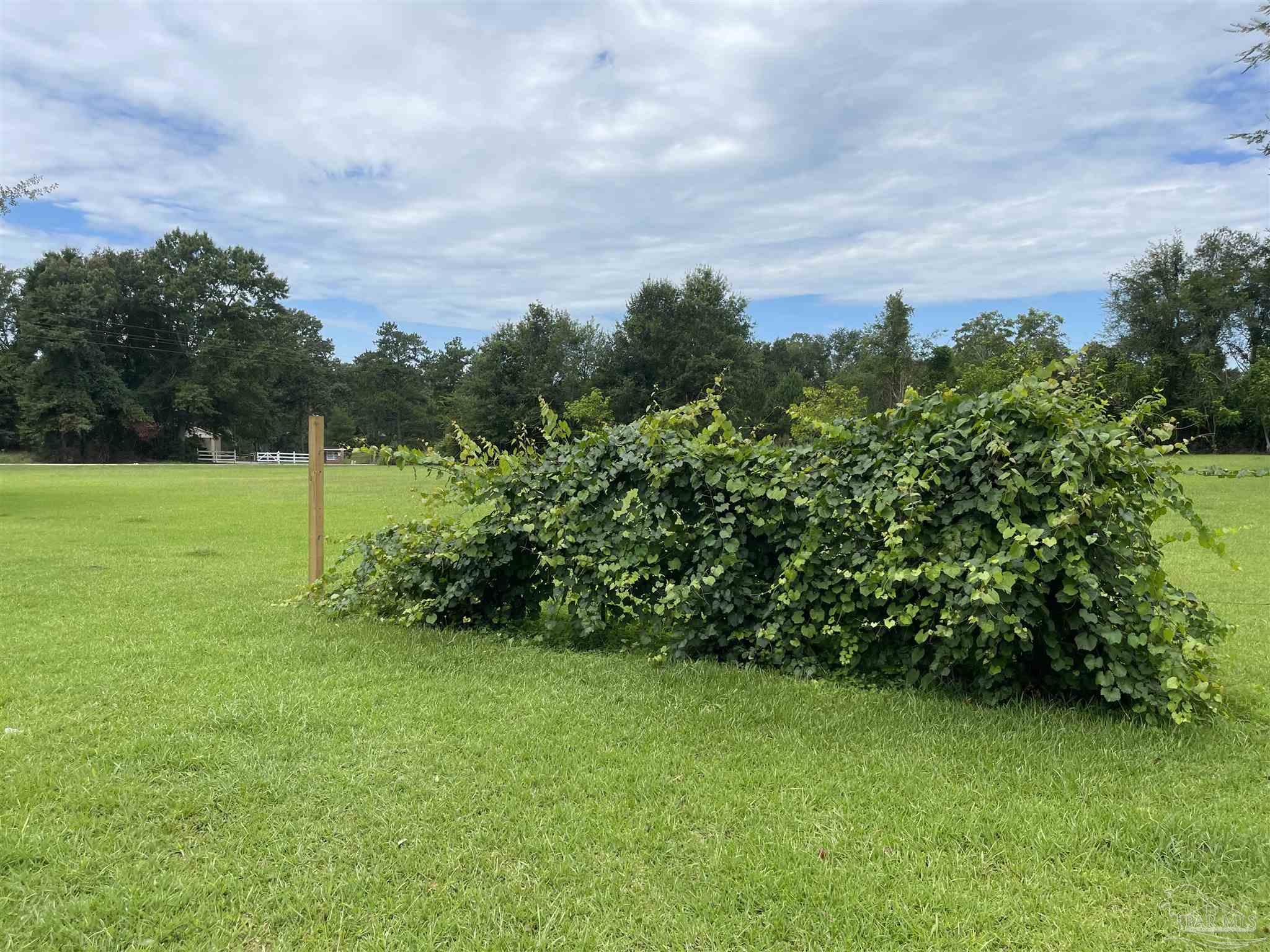 4384 Foshee Road Brewton, AL 36426 - Photo 9 of 18