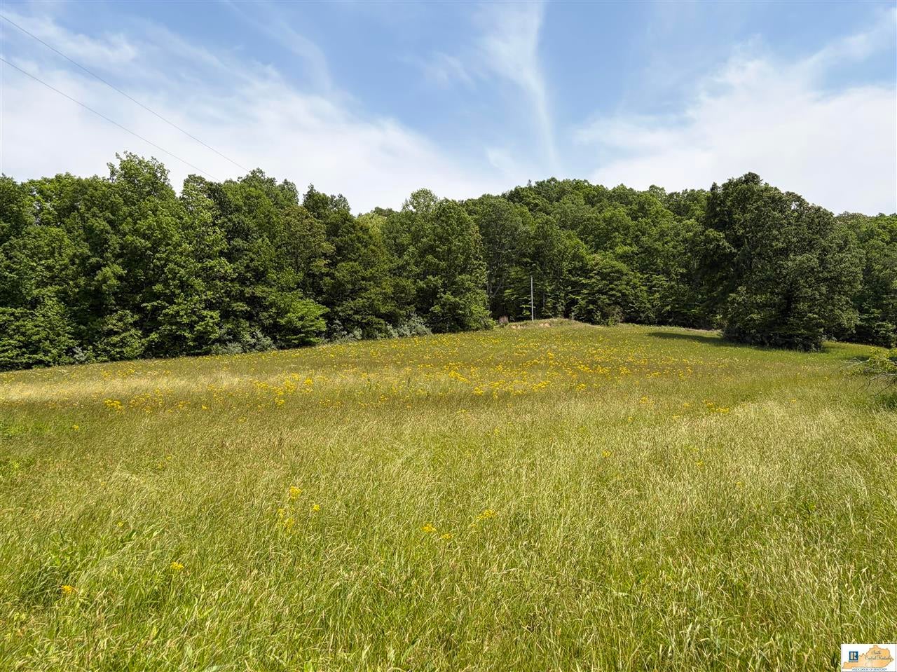 1900 Mt Tussell Road Knifley, KY 42753 - Photo 7 of 8 Gallery Image 7