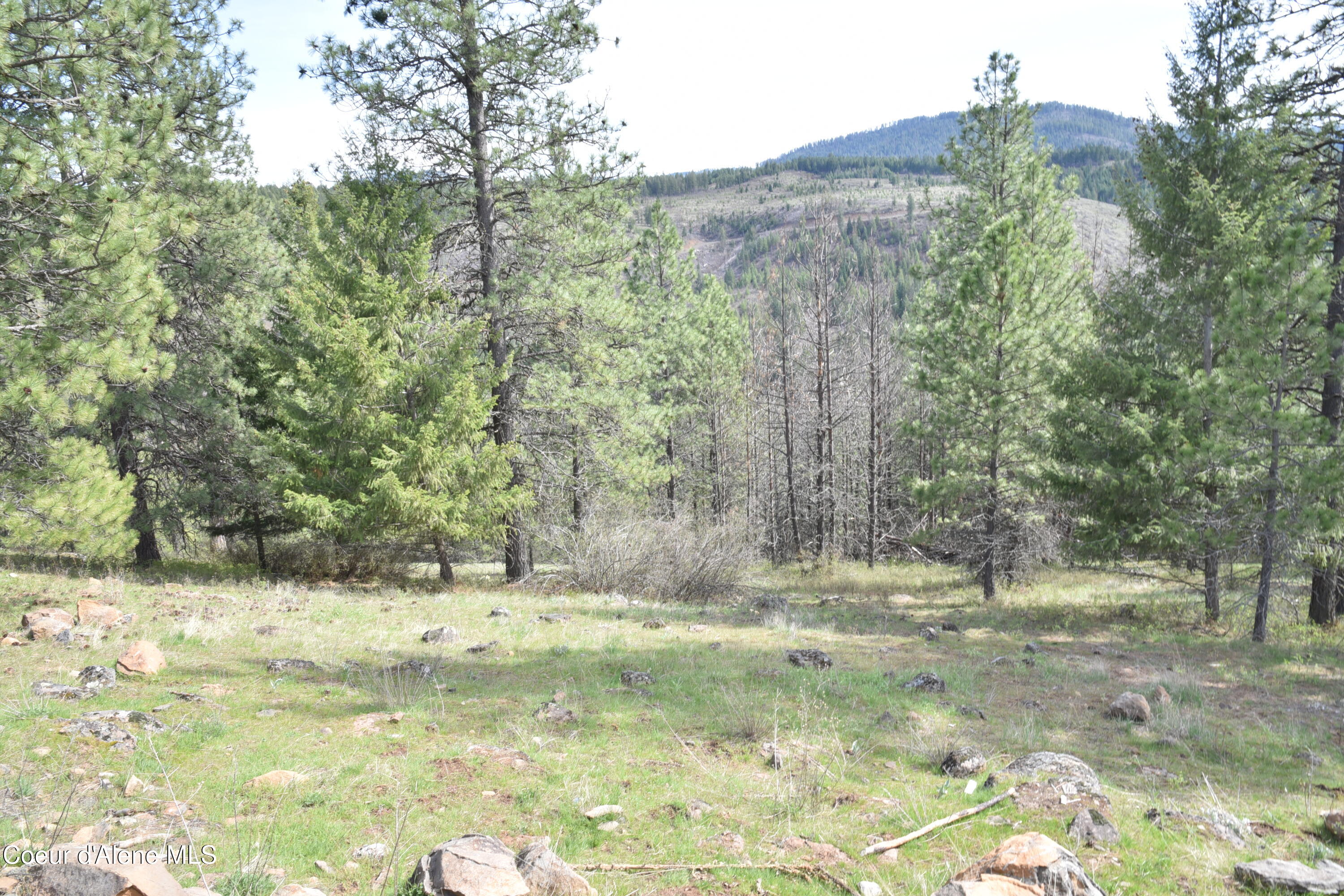 1605 Canyon Ridge Lane Plummer, ID 83851 - Photo 27 of 30 27