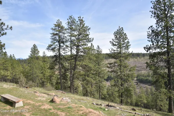 $649,000 | 1605 Canyon Ridge Lane, Plummer, ID 83851