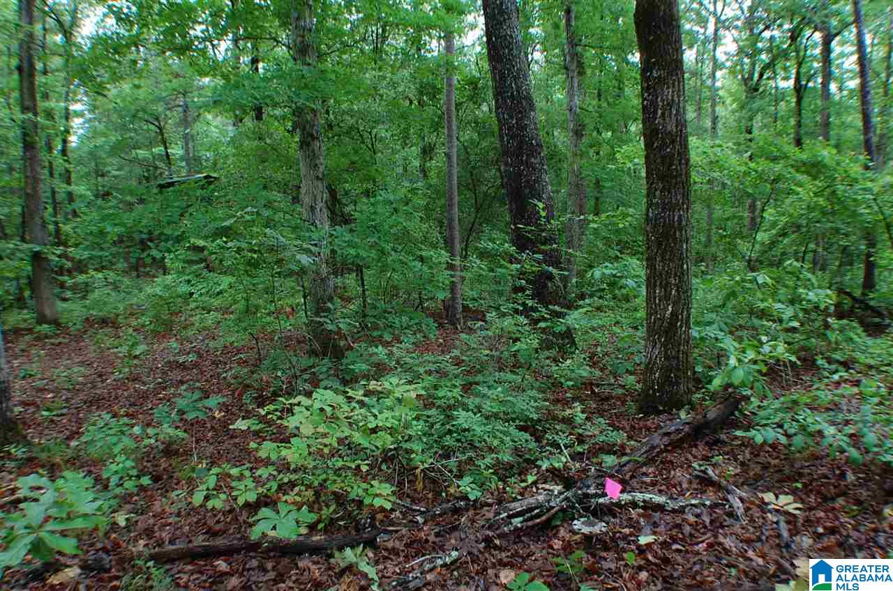 950 County Road 478, Unit 1 Clanton, AL 35046 - Photo 29 of 31