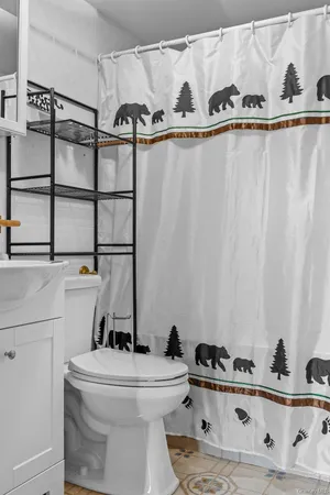 a bathroom with a sink a toilet and a shower curtain