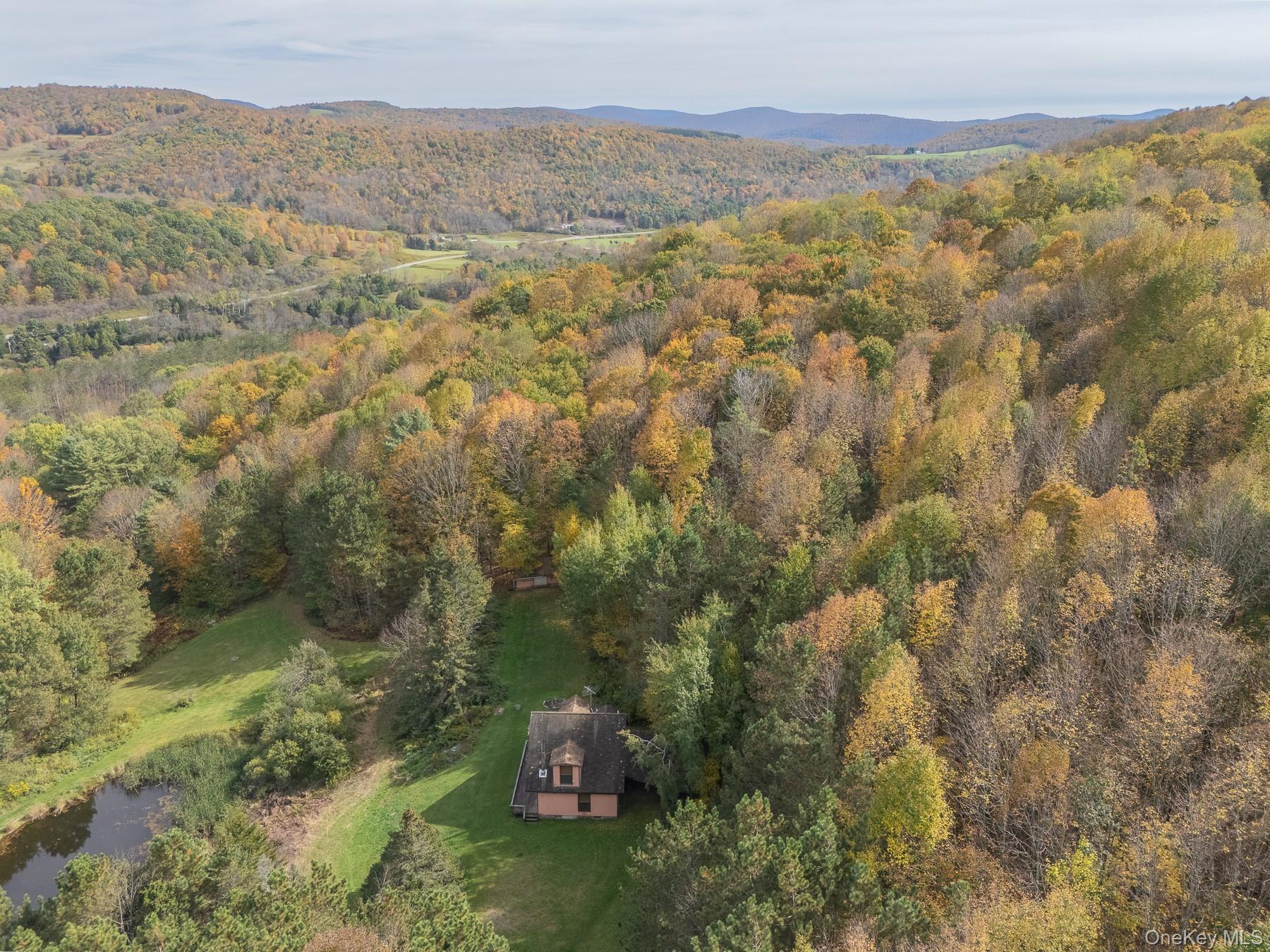 515 Magic Mountain Road Bloomville, NY 13739 - Photo 5 of 18 a view of lake and mountain