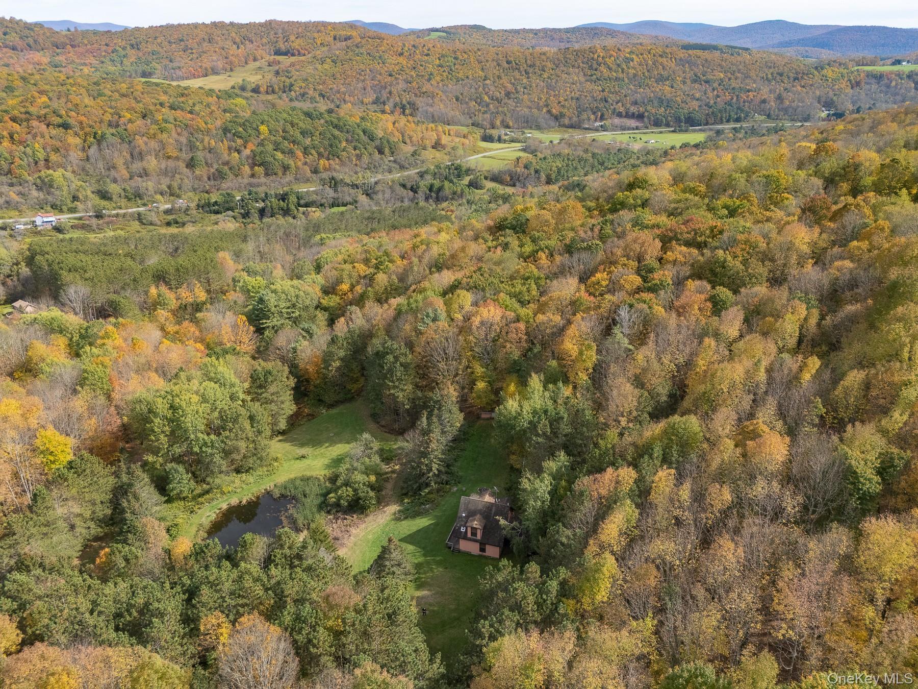 515 Magic Mountain Road Bloomville, NY 13739 - Photo 6 of 18 a view of lake and mountain