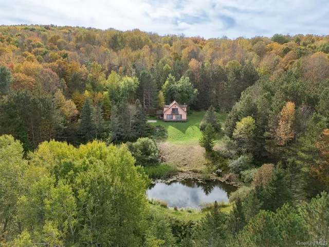 an aerial view of residential house with outdoor space and trees all around