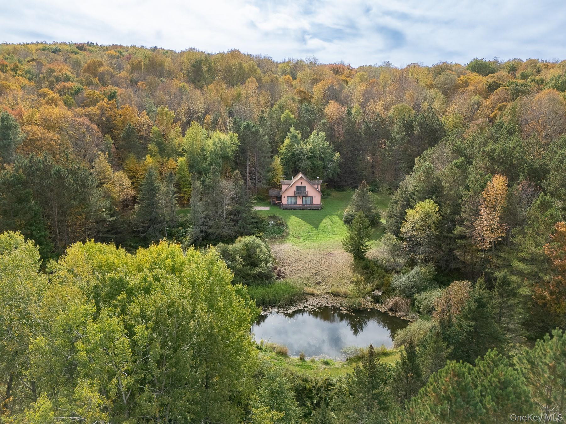 515 Magic Mountain Road Bloomville, NY 13739 - Photo 7 of 18 an aerial view of residential house with outdoor space and trees all around