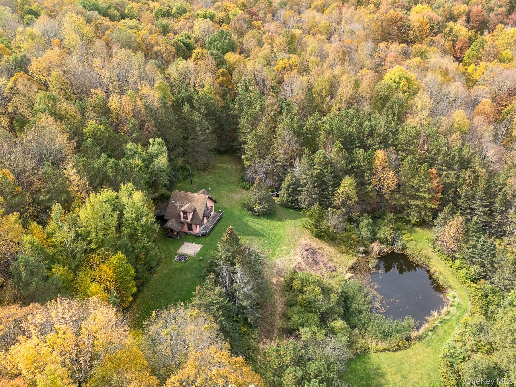 515 Magic Mountain Road Bloomville, NY 13739 - Photo 8 of 18 a backyard of a house with a yard and outdoor seating
