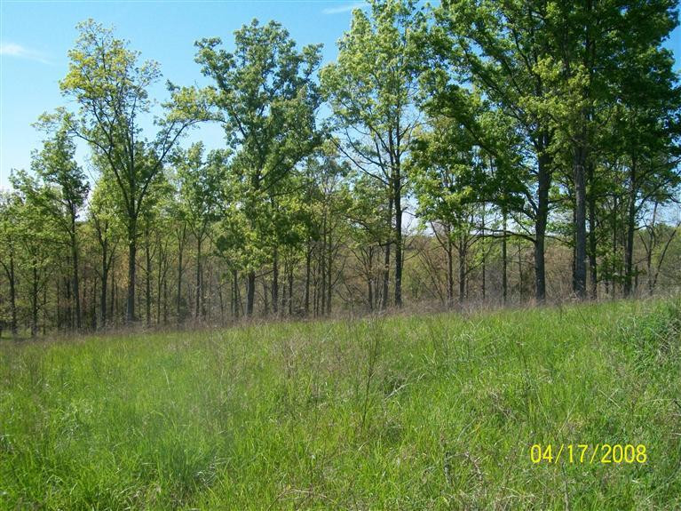 4 Ogden Ridge Road Mount Olivet, KY 41064 - Photo 1 of 21 Gallery Image 1