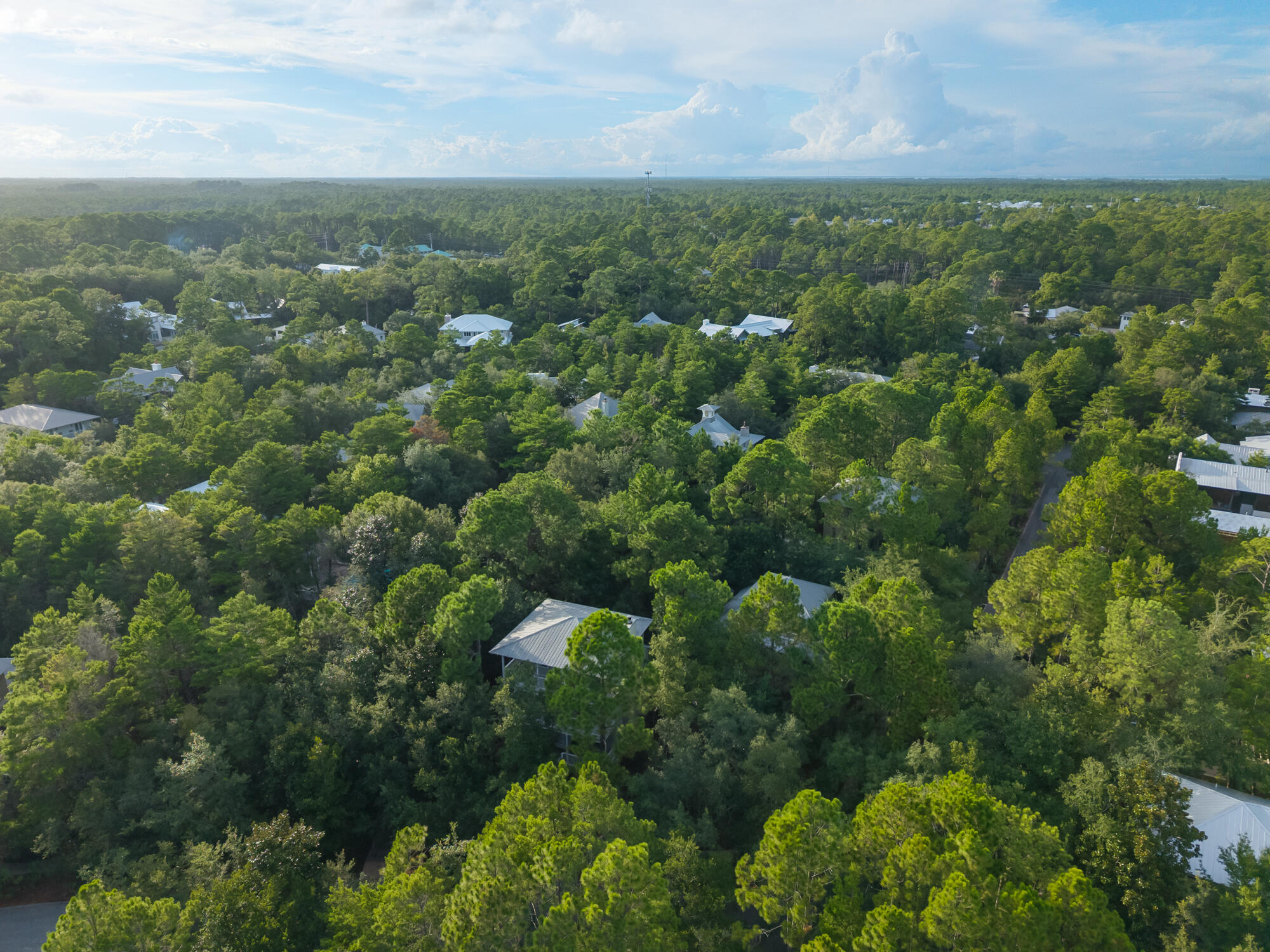 180 Wilderness Way Santa Rosa Beach, FL 32459 - Photo 38 of 69 an aerial view of a houses with a yard and lake view