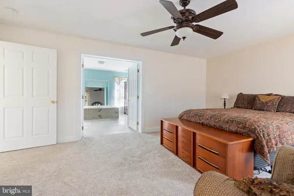 a bedroom with bed and ceiling fan