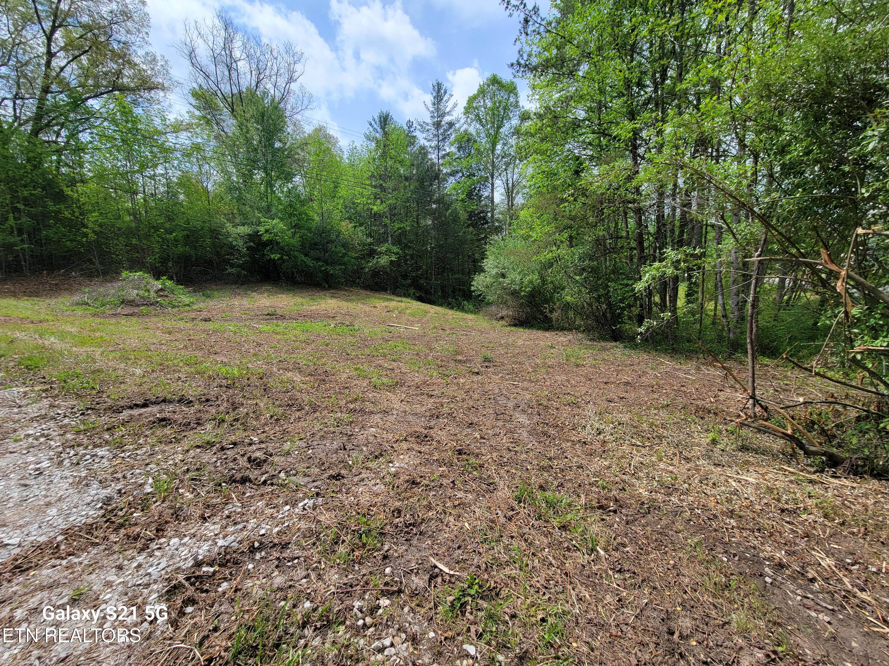 0 Big Spring Road Oneida, TN 37841 - Photo 2 of 9 1000001669-1