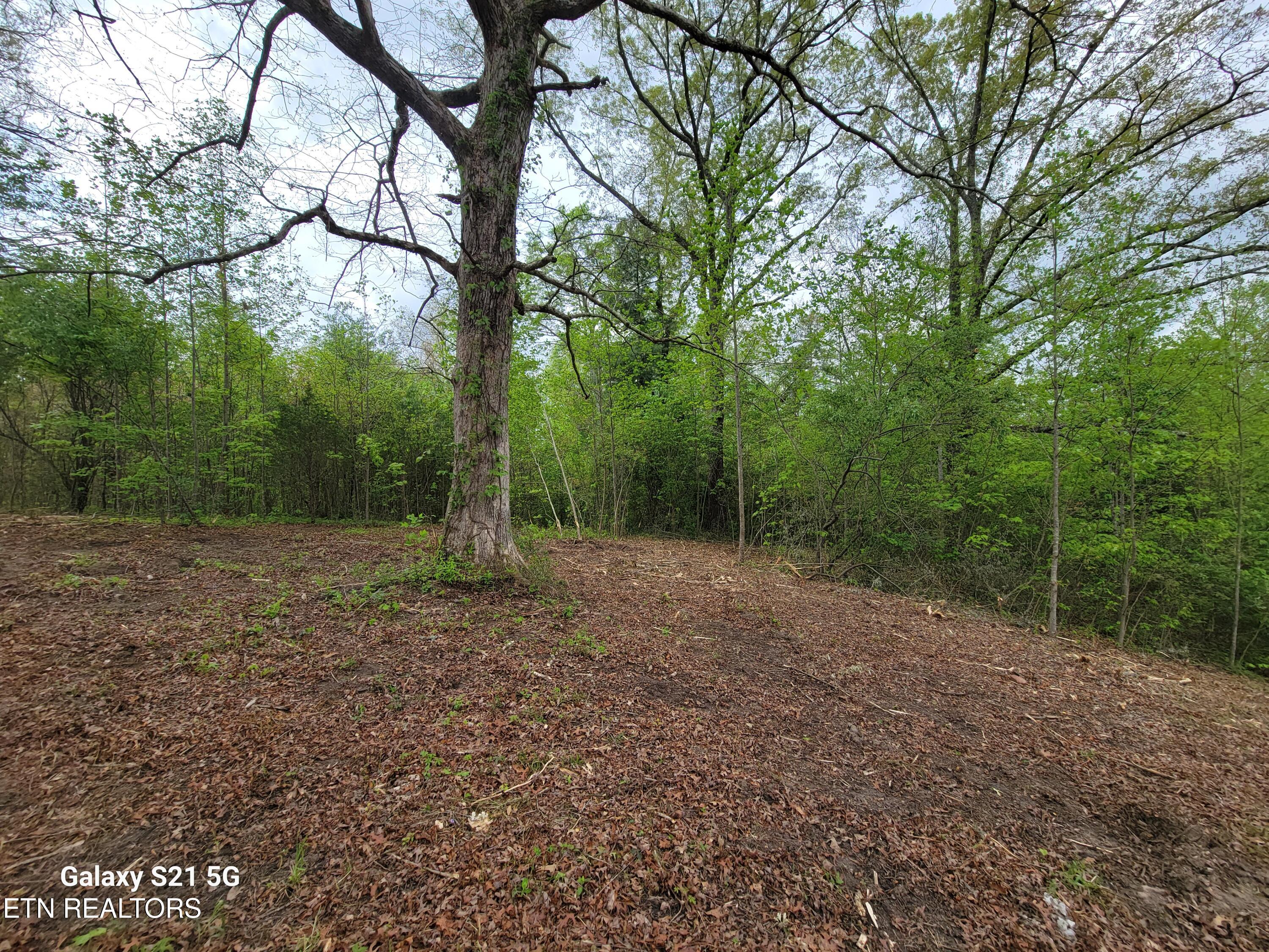 0 Big Spring Road Oneida, TN 37841 - Photo 9 of 9 1000001709