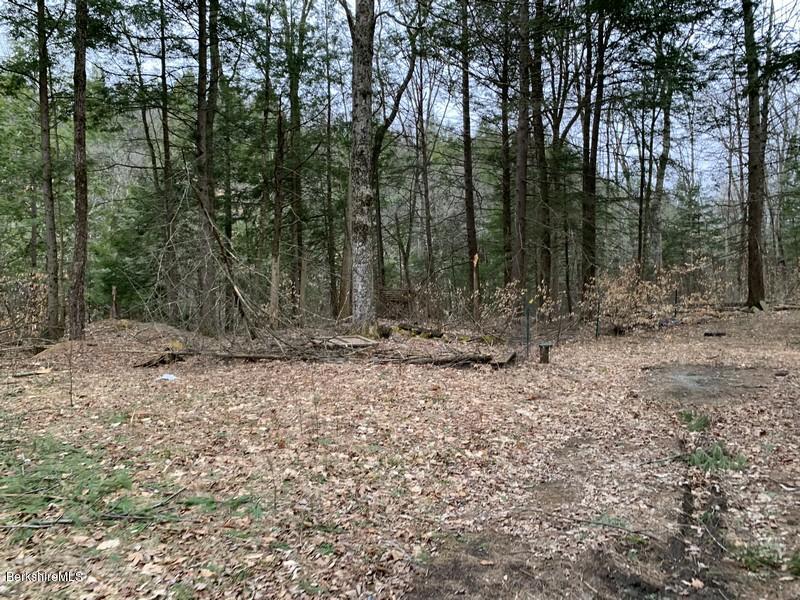 164 Heath Road Colrain, MA 01340 - Photo 10 of 18 a view of outdoor space with lots of trees