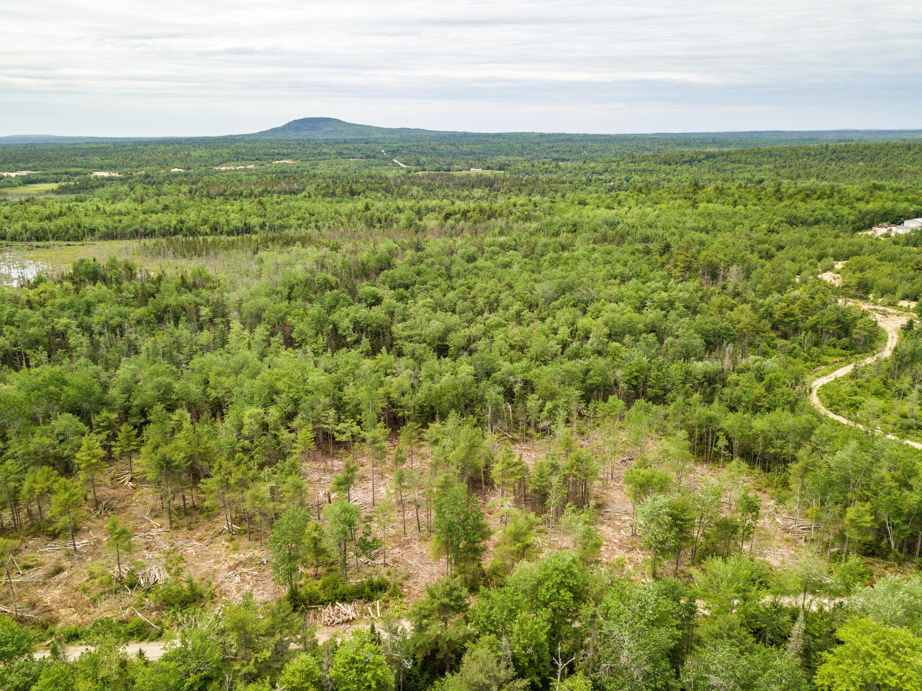 Lot 4 Granite Rock Circle North Surry, ME 04684 - Photo 1 of 5 Jeff Clarke-28