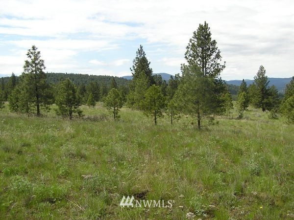 1-tbd Squirrel Road Tonasket, WA 98855 - Photo 2 of 10